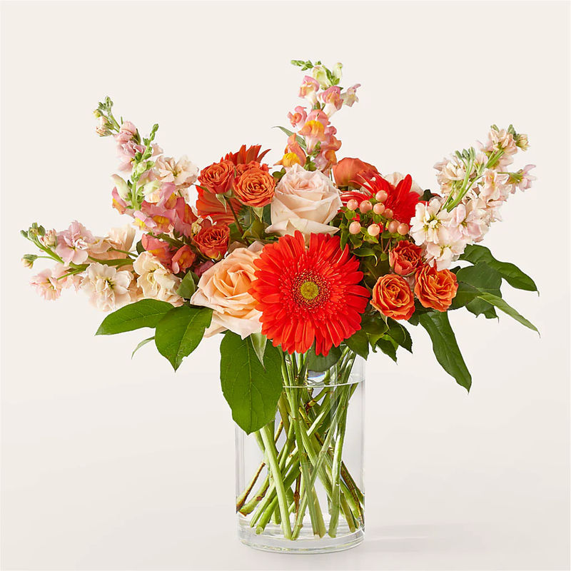 Paloma Please Bouquet - Style:Premium
