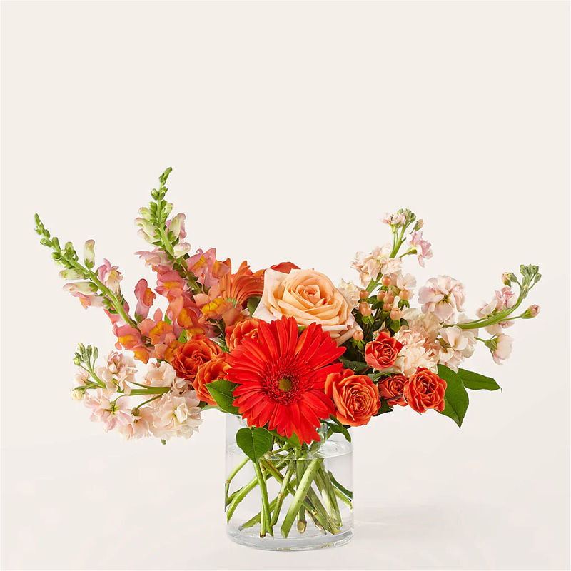 Paloma Please Bouquet - Style:Deluxe