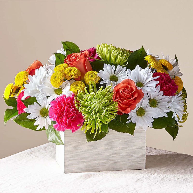 Sorbet Bouquet - Style:Premium