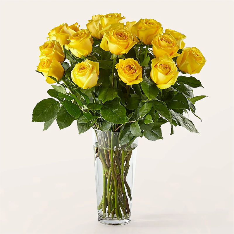 Long Stem Yellow Rose Bouquet - Style:Deluxe - 18 Yellow Roses