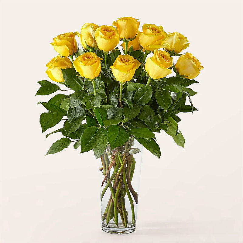 Long Stem Yellow Rose Bouquet - Style:Standard - 12 Yellow Roses