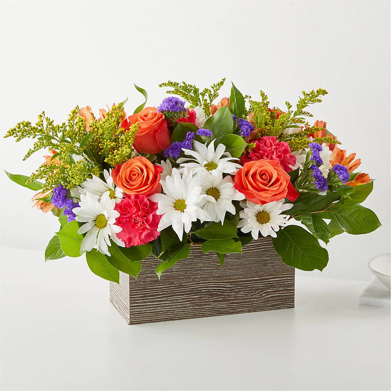 Oopsie Daisy Box Bouquet - Style:Exquisite
