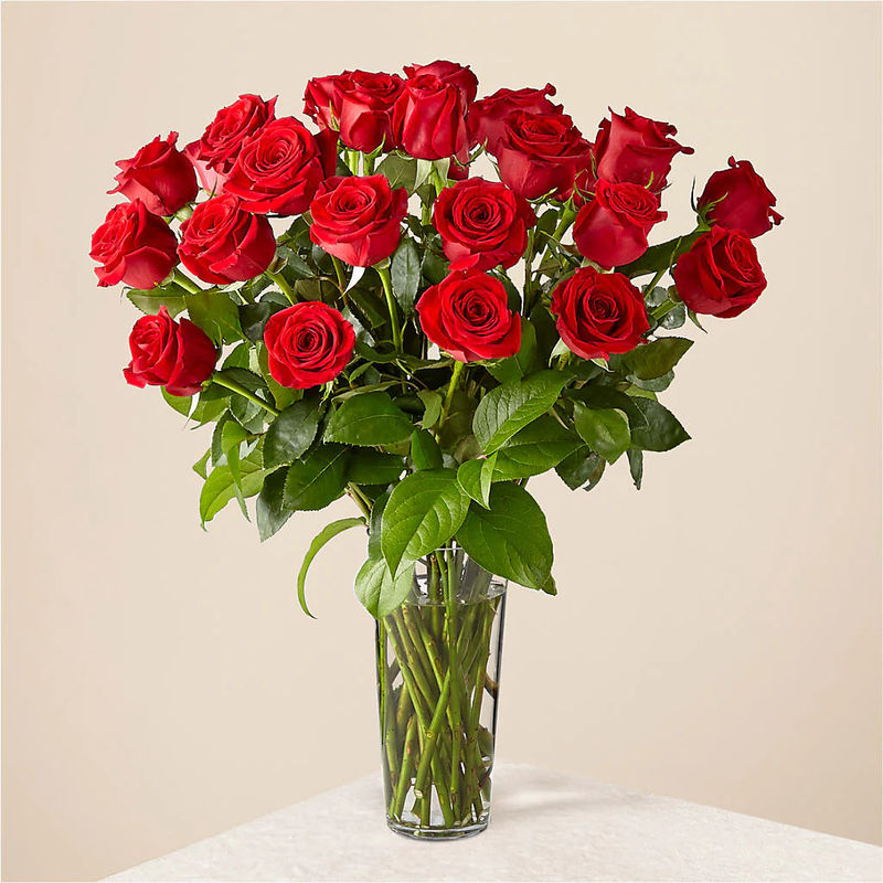 Long Stem Red Rose Bouquet - Style:Premium - 24 Red Roses