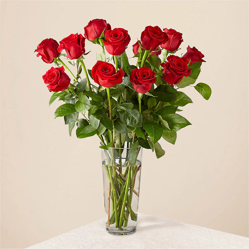 Long Stem Red Rose Bouquet - Style:Standard - 12 Red Roses