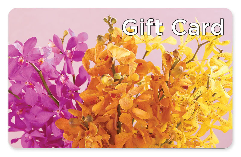 Gift Card - Style:Premium