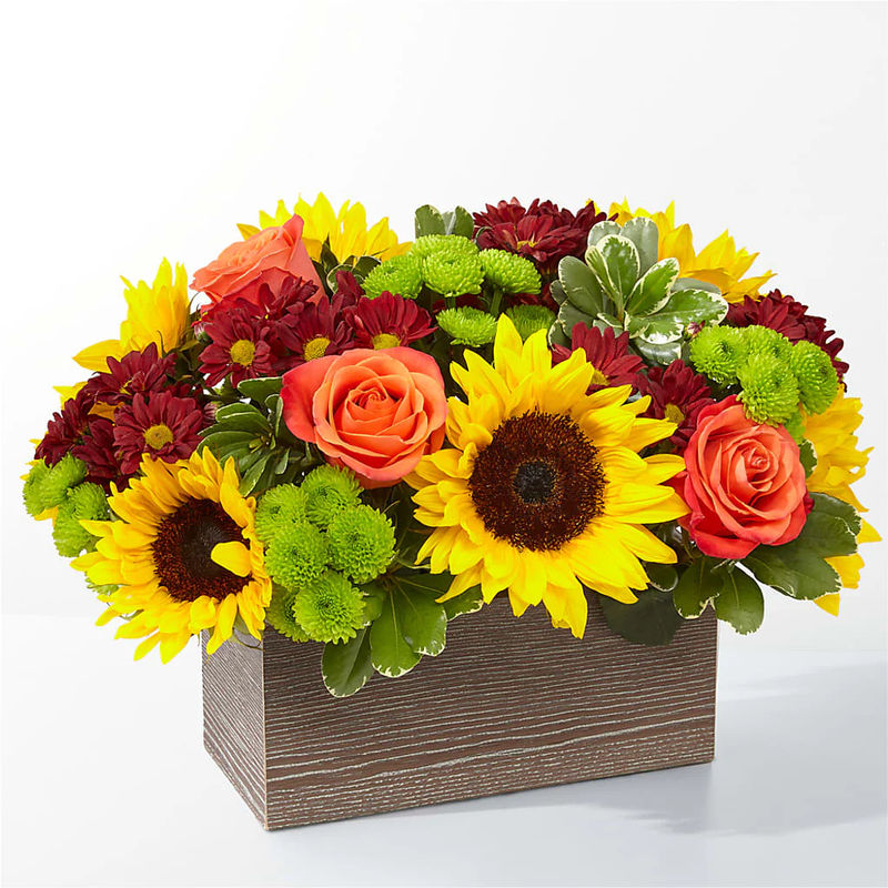 Happy Harvest Garden - Style:Deluxe