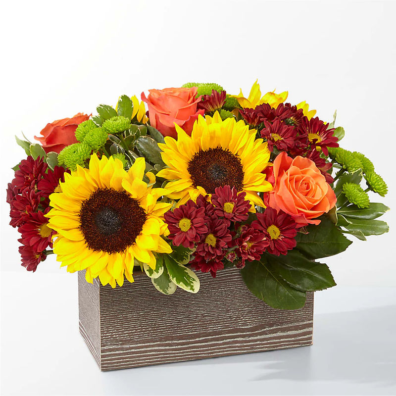 Happy Harvest Garden - Style:Standard