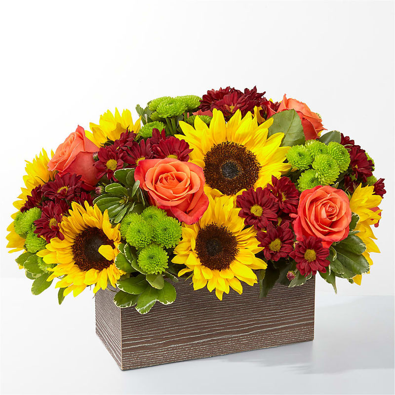 Happy Harvest Garden - Style:Premium