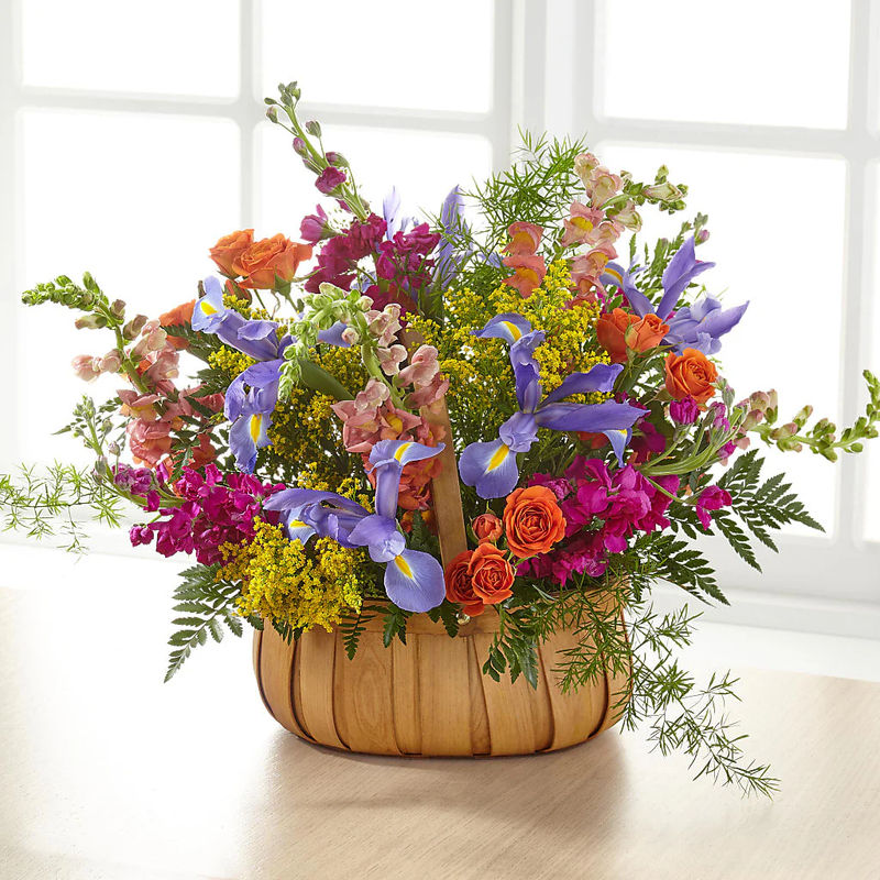 Garden of Life Basket - Style:Deluxe