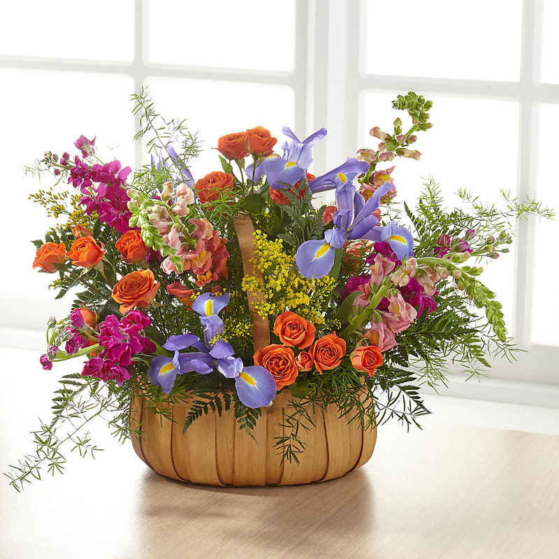 Garden of Life Basket - Style:Standard