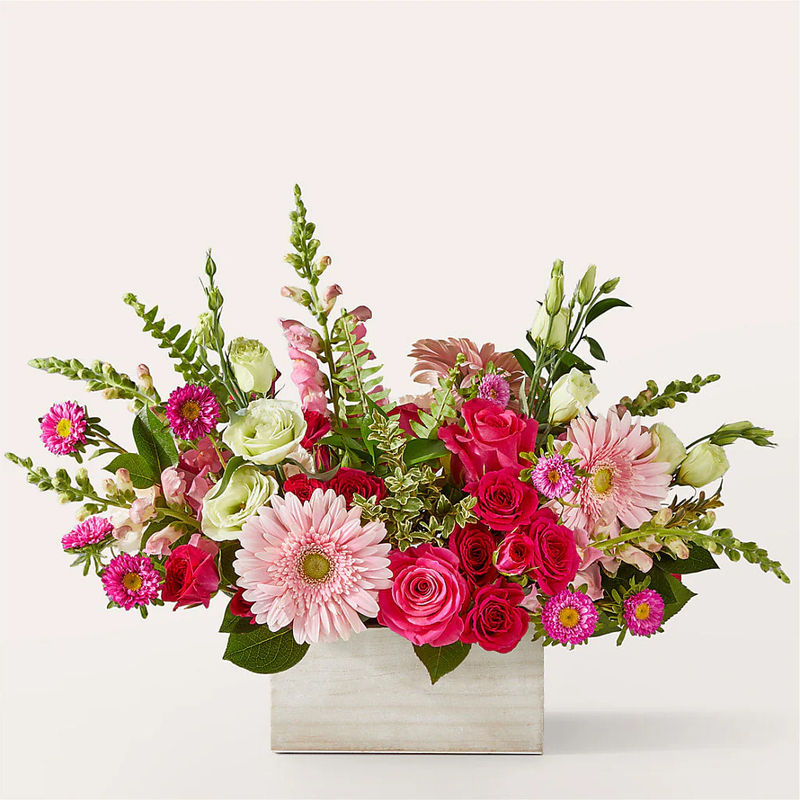 Too Cute Bouquet - Style:Premium