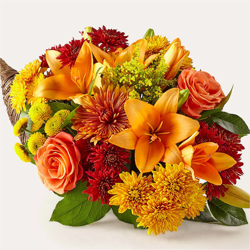 Feast of Color Cornucopia - Style:Deluxe
