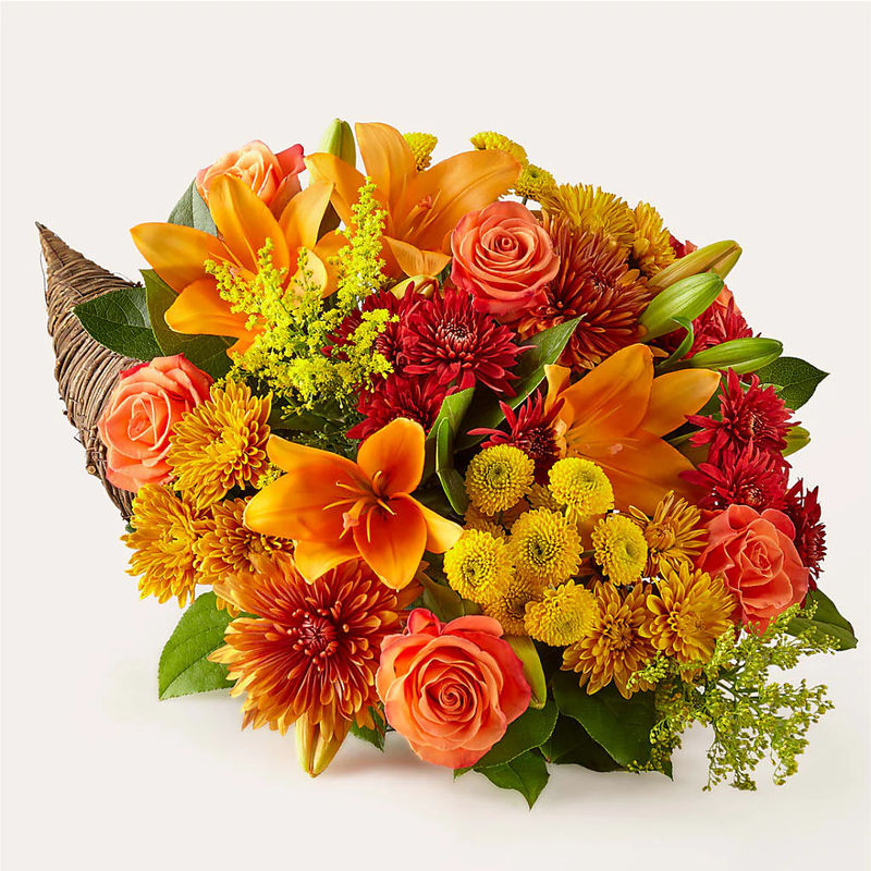 Feast of Color Cornucopia - Style:Premium