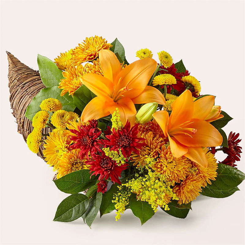 Feast of Color Cornucopia - Style:Standard