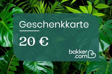 Geschenkkarte - Montants:20 Euro