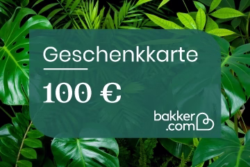 Geschenkkarte - Montants:100 Euro