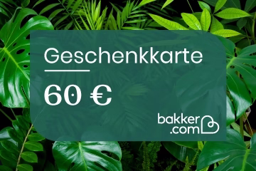 Geschenkkarte - Montants:60 Euro