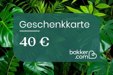 Geschenkkarte - Montants:40 Euro