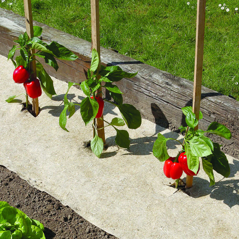 Natürlicher, biologisch abbaubarer Mulch Chanvrelin - Title:Das stück / L 300cm x B 50cm