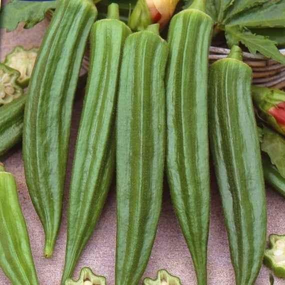 Okra