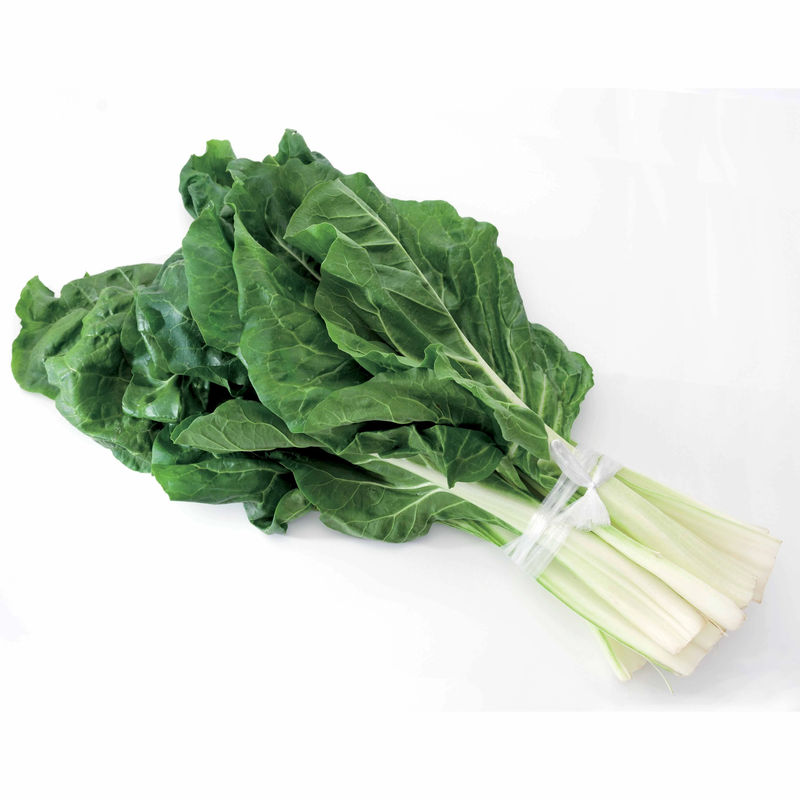 Mangold Verte a Carde Blanche 2