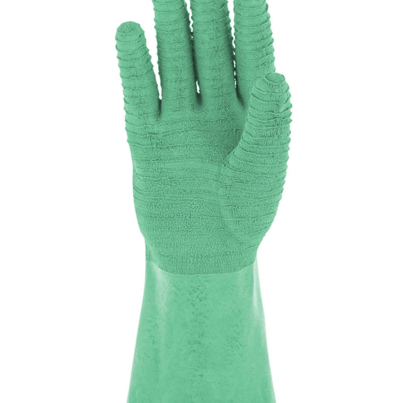 Handschuh Roncier Grün - Title:Das paar (Größe 10)