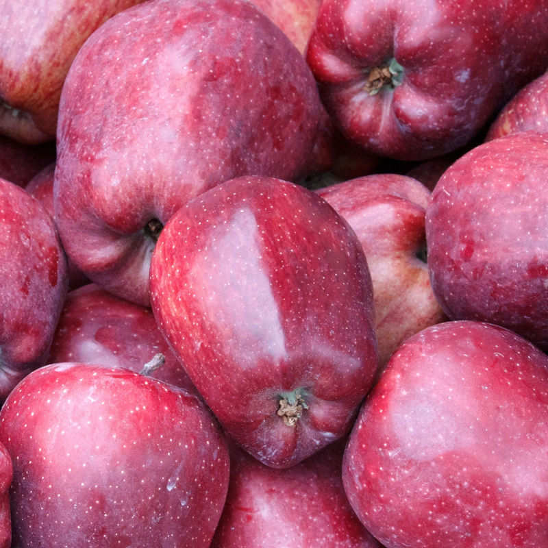 Apfelbaum Starking Delicious