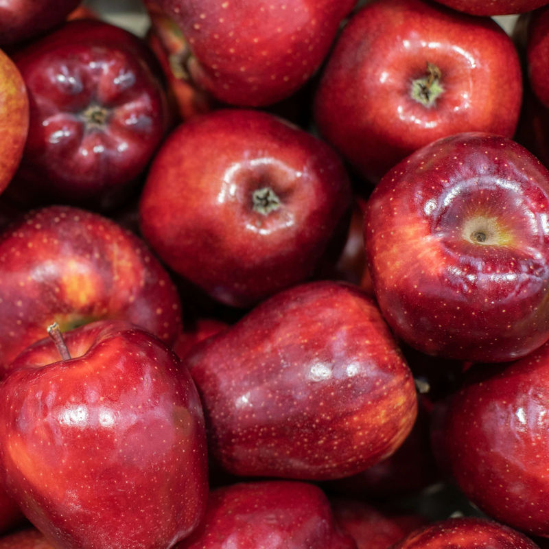 Apfelbaum Red Chief