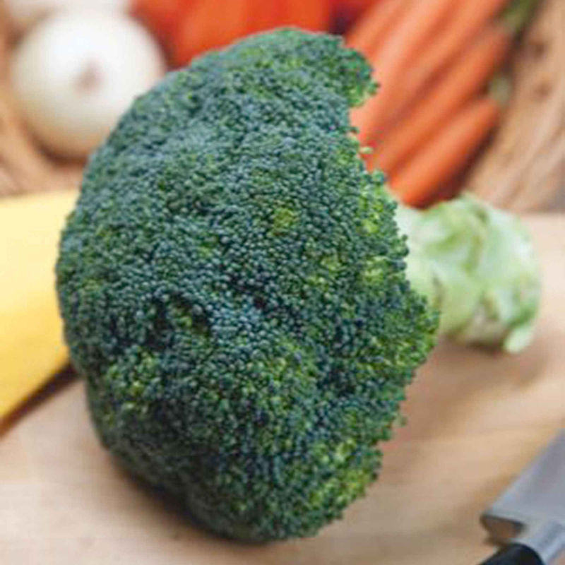 Kohl Brokkoli 'Calabrese Natalino' - Title:Das beutel / 1.5g / ±325 samen