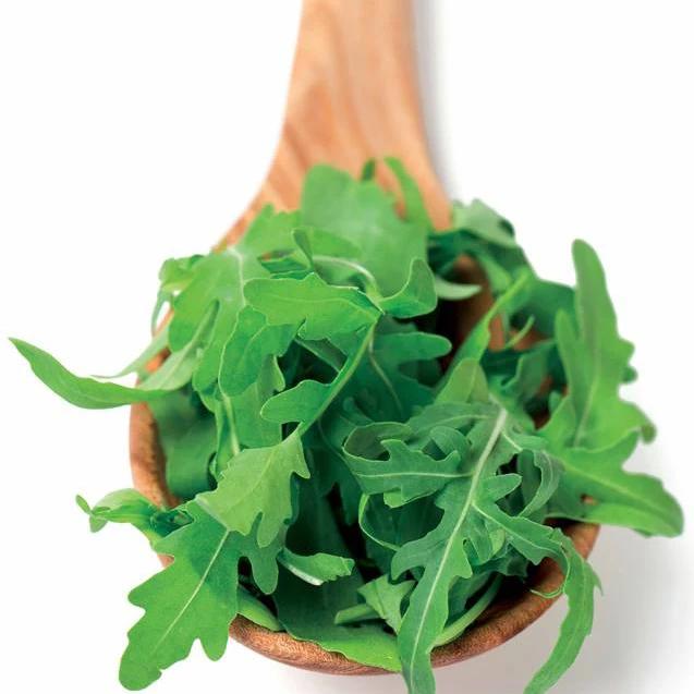 Biologisch angebaute Rucola