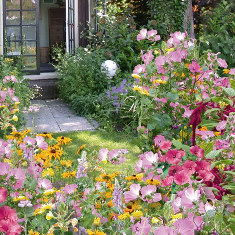 Einjährige Blumenmischung Cottage Garden ür 5 m²