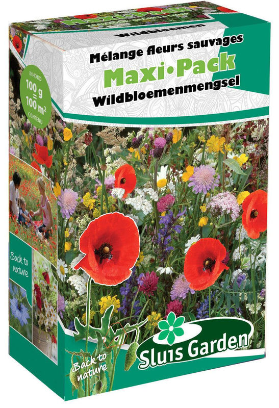Wildblumenmischung MaxiPack