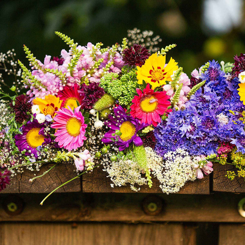 Blumen Saatmatte für Blumenkästen