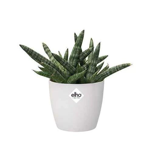 Elho Blumentopf Brussels rund weiß - Title:Das stück / übertopf / Ø 12.5cm