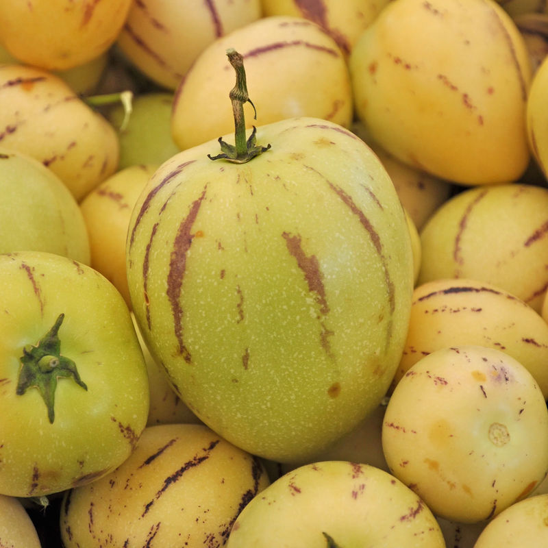 Melonenbirne