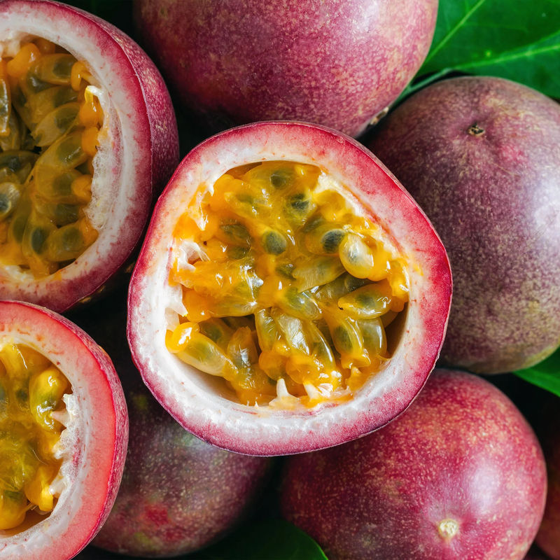 Passionsfrucht Frederick