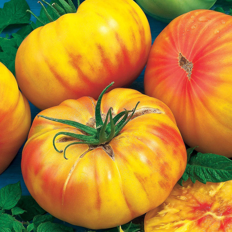 Fleischtomate Ananas