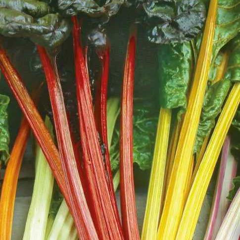 Birnenmischung Rainbow Mix