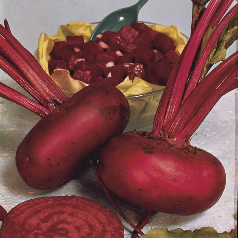Rote Beete Mischung: D'Egypte, De Detroit 2, Cylin