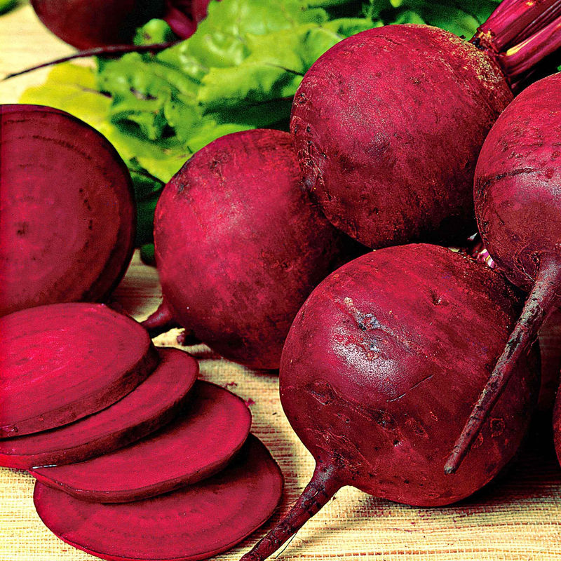 Rote Beete 'Kogel 2'