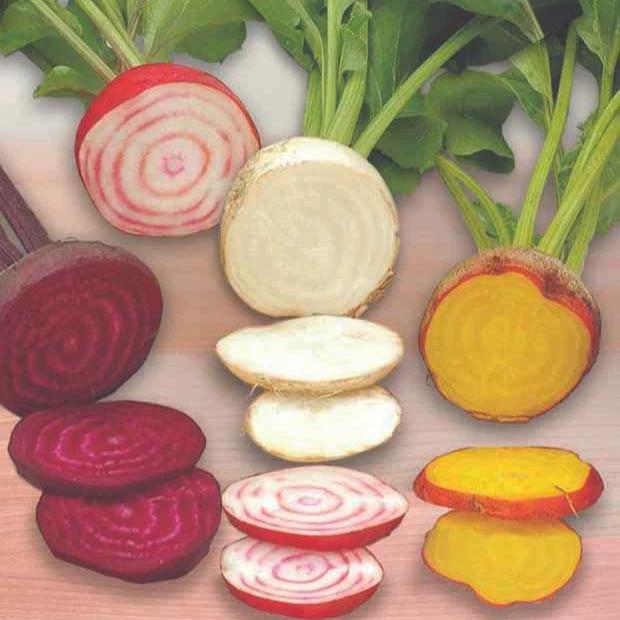 Rote Bete Hula Hoop Mix