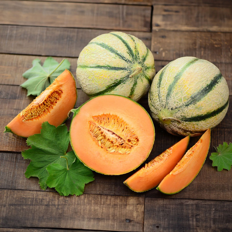 Honigmelone Cantaloup Charentais
