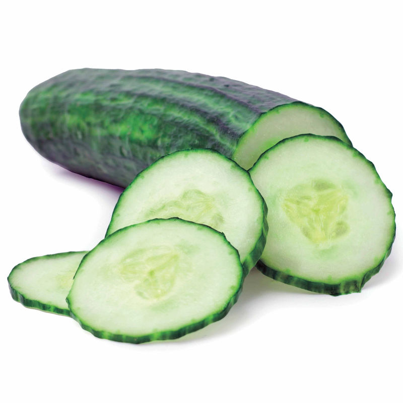 Gurke Vert long maraîcher