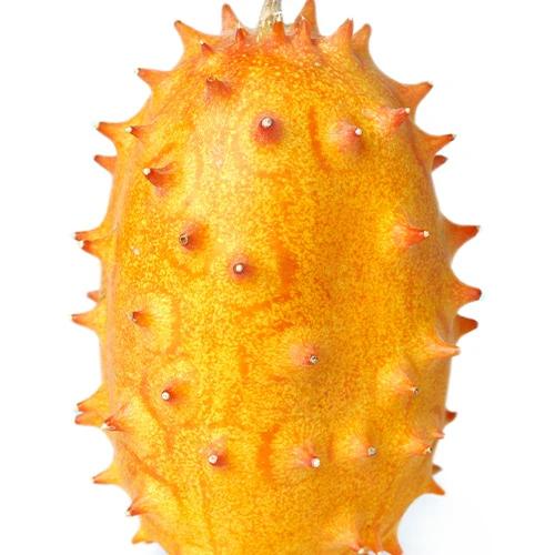 Kenia-Gurke (Metulon)