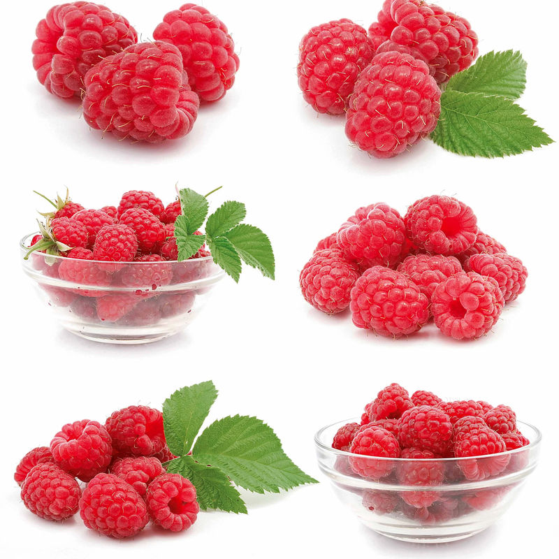 Himbeere Ruby Beauty
