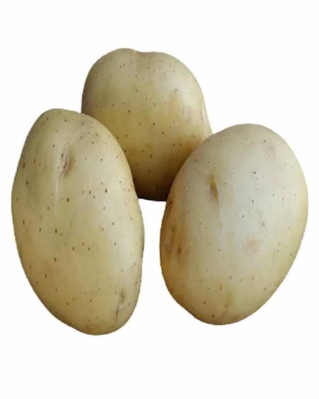Vitabella-Kartoffeln BIO (x25)