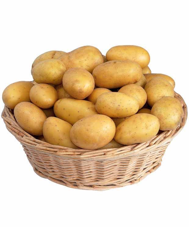 Kartoffelkollektion: Amandine, Jeannette, Blanche. (x80)