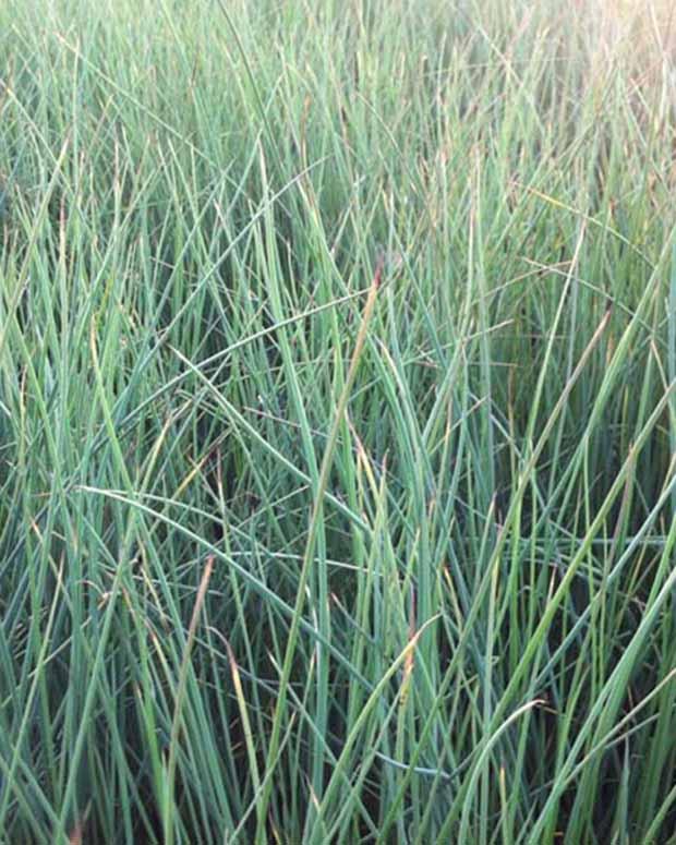 Gebogene Stäbe (x3)