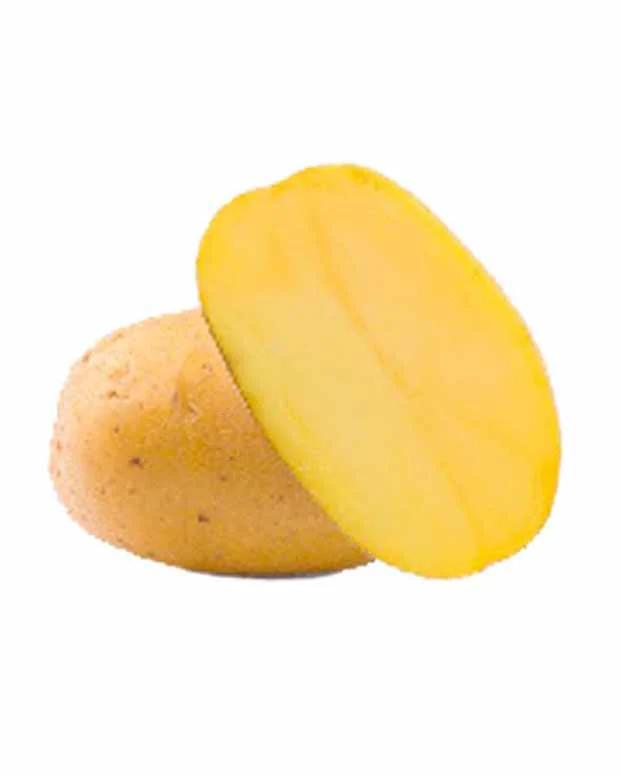 Goldmarie Kartoffeln BIO (x25)