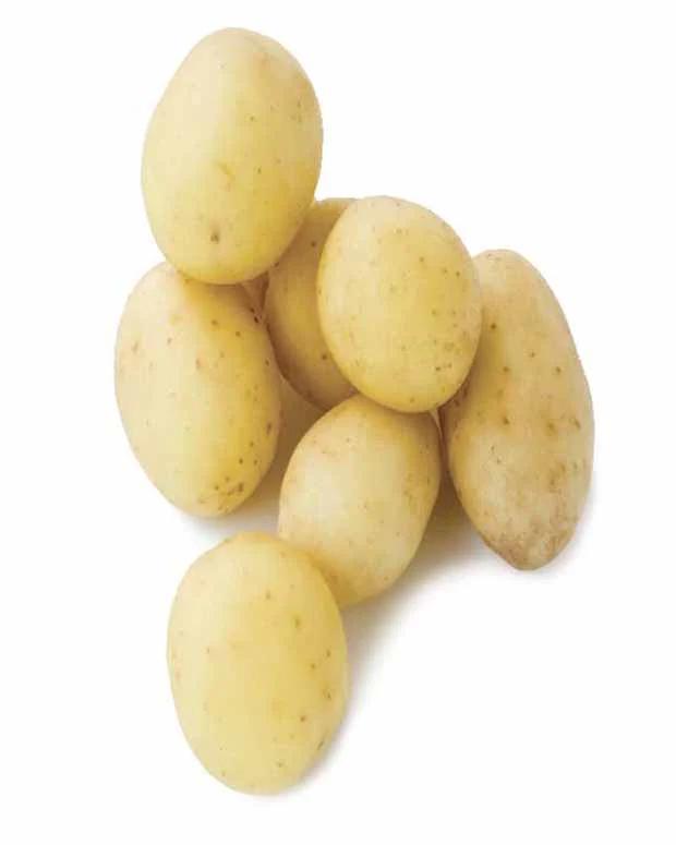 Penni-Kartoffeln (x25)